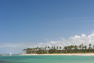 Tropical beach with palms and a large blue sky