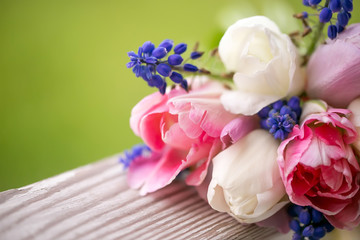 Beautiful delicate bouquet of pink and white tulips and blue muscari.