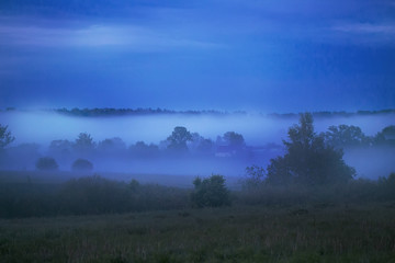 Evening fog in the twilight between trees and houses in the countryside.