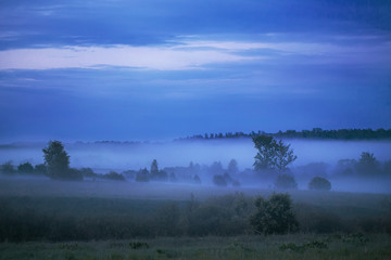 Obraz premium Evening fog in the twilight between trees and houses in the countryside.
