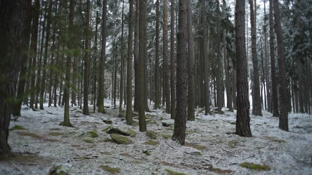 Czech winter landscape
