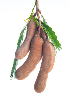 Tamarind isolated on the white background.