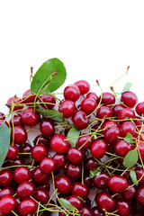 Sour cherries