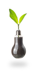 young green plant in a light bulb isolated on white background,green energy concept