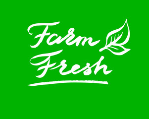 Hand drawn vector graphic Logo. Farm fresh theme.