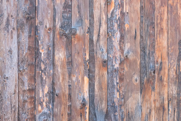 Plank wall 3
