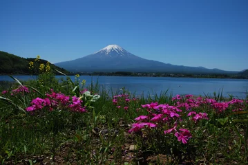 Tuinposter Mont Fuji © Ariane Citron