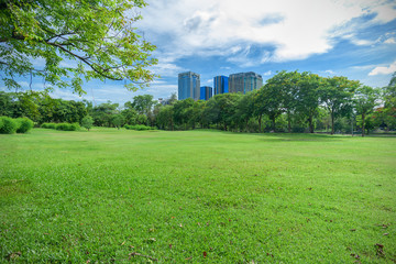 Green grass field in park at city center with blue sky
