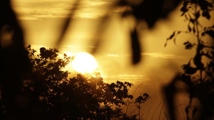 Sunset seen from northeastern brazil nature.