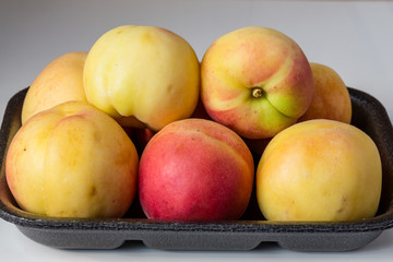 Apricot