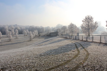 Reifenspuren in Schneelandschaft im Winter
