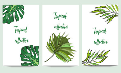 Vertical vector banners of hand drawn tropical palm leaves. Exotic collection. An idea for design, invitation, save the date card.
