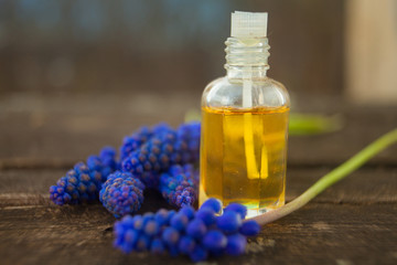 Essential oil of muscari flower on a table in beautiful bottle