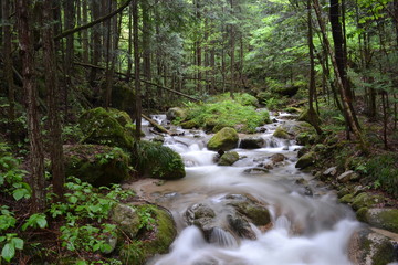 Rivière Kiso, entre Magome et Tsumago, Japon