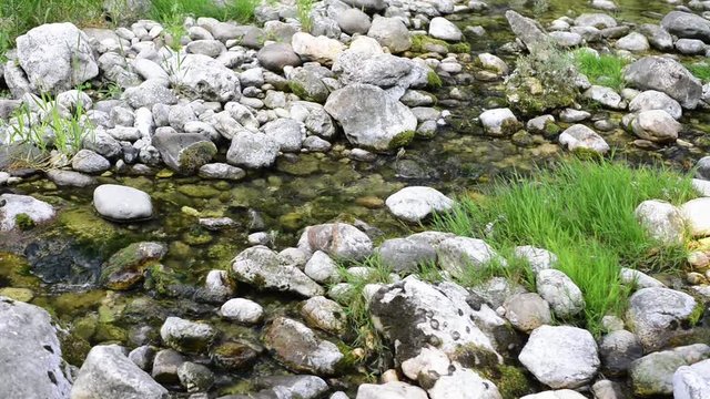 Fiume Astico 