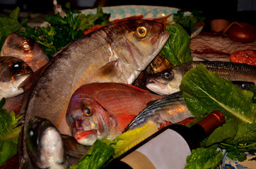 Variety of fresh fish seafood