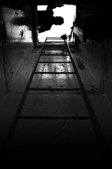 The Descent