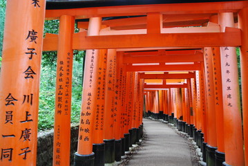 Torii du temple Fushimi Inari-taisha, Kyoto, Japon - 158220768