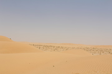 Wüste