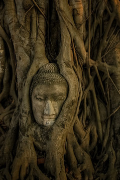 Head of Buddha