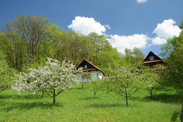 Obraz premium Haus bei Sasbachwalden