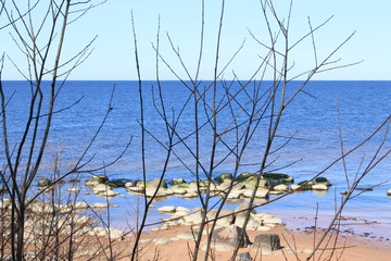 Fototapeta premium coastline in Latvia, springtime