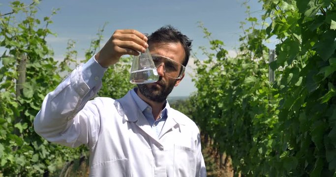 Specialist for plants, checks the grape fields, takes the moisture leaf, in a white coat, a background of greenery Concept ecology, wine, bio product, inspection, water, natural products, professional