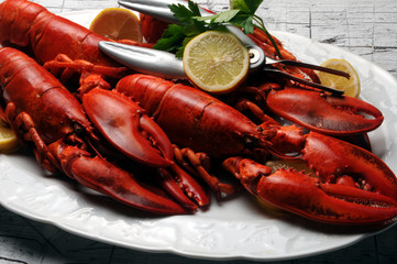Homarus Lavagante Astice ロブスター
 Bogavante Lobsters Hummer Astici Comida Homard Lobster Cuisine Омар Cucina