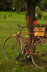 Fototapeta na wymiar Vieux vélo en décoration de jardin 