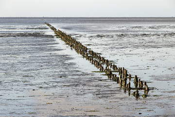 Ancient Jetty
