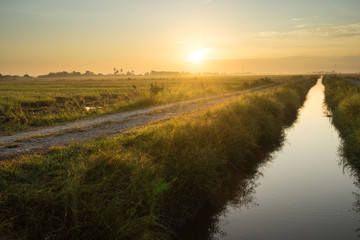 A beautiful scenery with rolls of haystack in paddy fields
