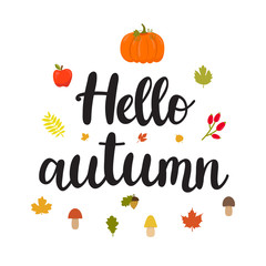 Hello autumn. Beautiful poster with mushrooms, apple, leaves, pumpkin and hand written text. Funny vector background. Forest design elements