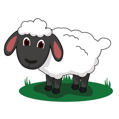 Sheep Vector