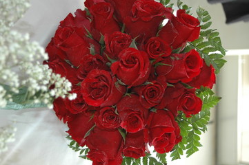 rose rosse