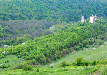 Fototapeta na wymiar Chervonohorod castle, Ukraine.