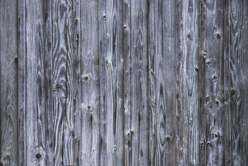 Detailed fragment of wooden background, texture
