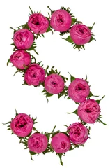 Foto op Plexiglas anti-reflex Bloemen Letter S alfabet van bloemen van rozen, geïsoleerd op een witte achtergrond