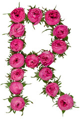 Buchstabe R Alphabet aus Rosenblüten, isoliert auf weißem Hintergrund