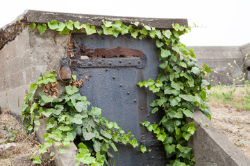 old rusted iron door and vines