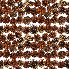 Seamless pattern with pine cones on white background