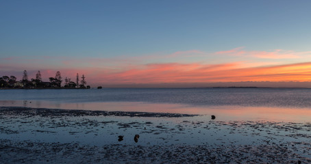 Fototapeta premium Sunrise at Darling Point