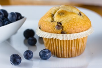 Chocolate chips vanilla flavor muffin with blueberries