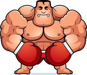 Cartoon Boxer Angry