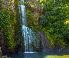 Fototapeta na wymiar Piha waterfalls, Kitekite Falls, Auckland New Zealand
