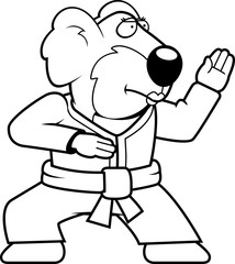 Fototapeta premium Karate Koala