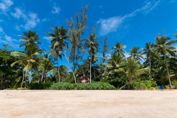 Obraz premium Tropical island paradise
