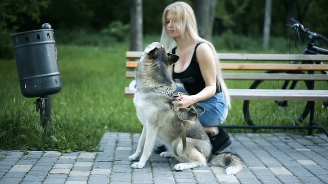 Young sexy blond woman with very long flowing hair is walking in the park with a dog of Husky breed He stroked and caressed.