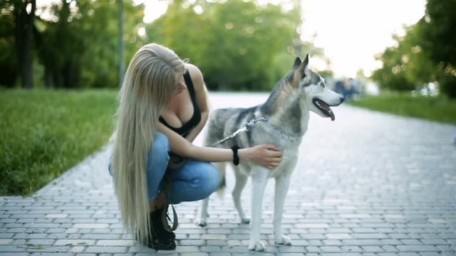 Young sexy blond woman with very long flowing hair is walking in the park with a dog of Husky breed He stroked and caressed.