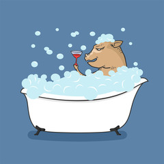 funny pig taking a bath with a wine cup in his hand