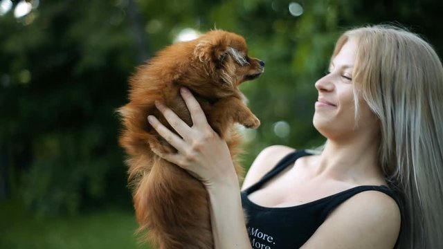 Young sexy blond woman with very long flowing hair plays with dog of Pomeranian spitz breed, kisses him, smiles.
